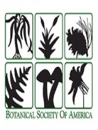 American Journal of Botany