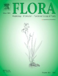 Flora: Morphology, Distribution, Functional Ecology of Plants