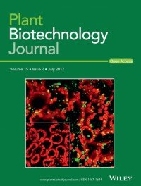 Plant Biotechnology