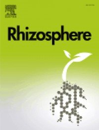 Rhizosphere