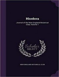 Rhodora