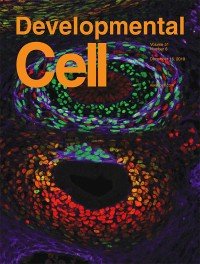 Developmental Cell
