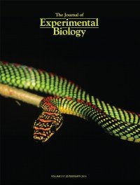 Journal of Experimental Biology