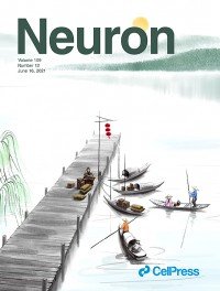 Neuron