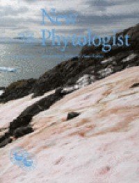New Phytologist