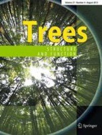 Trees - Structure and Function