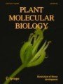 Plant Molecular Biology