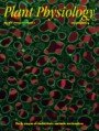 Plant Physiology